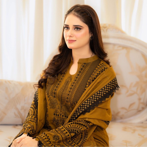 Embroidery Work With Sleeves With Fancy Latkan Border 